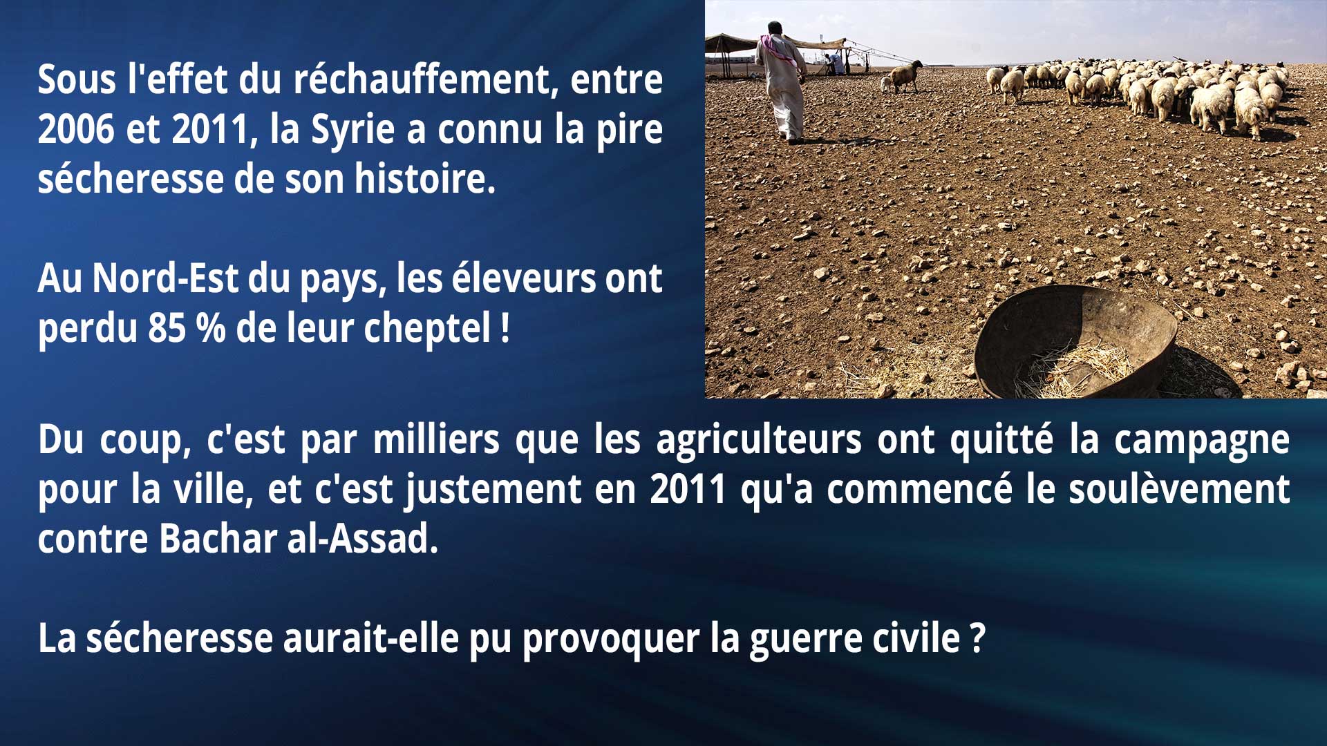 Sous l'effet du réchauffement, entre 2006 et 2011, la Syrie a connu la pire sécheresse de son histoire. Au Nord-Est du pays, les éleveurs ont perdu 85 % de leur cheptel ! Du coup, c'est par milliers que les agriculteurs ont quitté la campagne pour la ville, et c'est justement en 2011 qu'a commencé le soulèvement contre Bachar al-Assad. La sécheresse aurait-elle pu provoquer la guerre civile ?