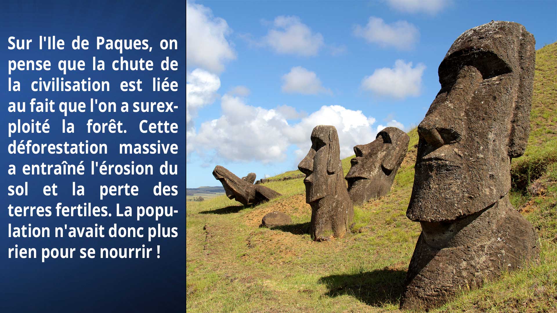 Sur l'Ile de Paques, on pense que la chute de la civilisation est liée au fait que l'on a sur exploité la forêt. Cette déforestation massive, a entrainé l'érosion du sol et la perte des terres fertiles. La population n'avait donc plus rien pour se nourrir !