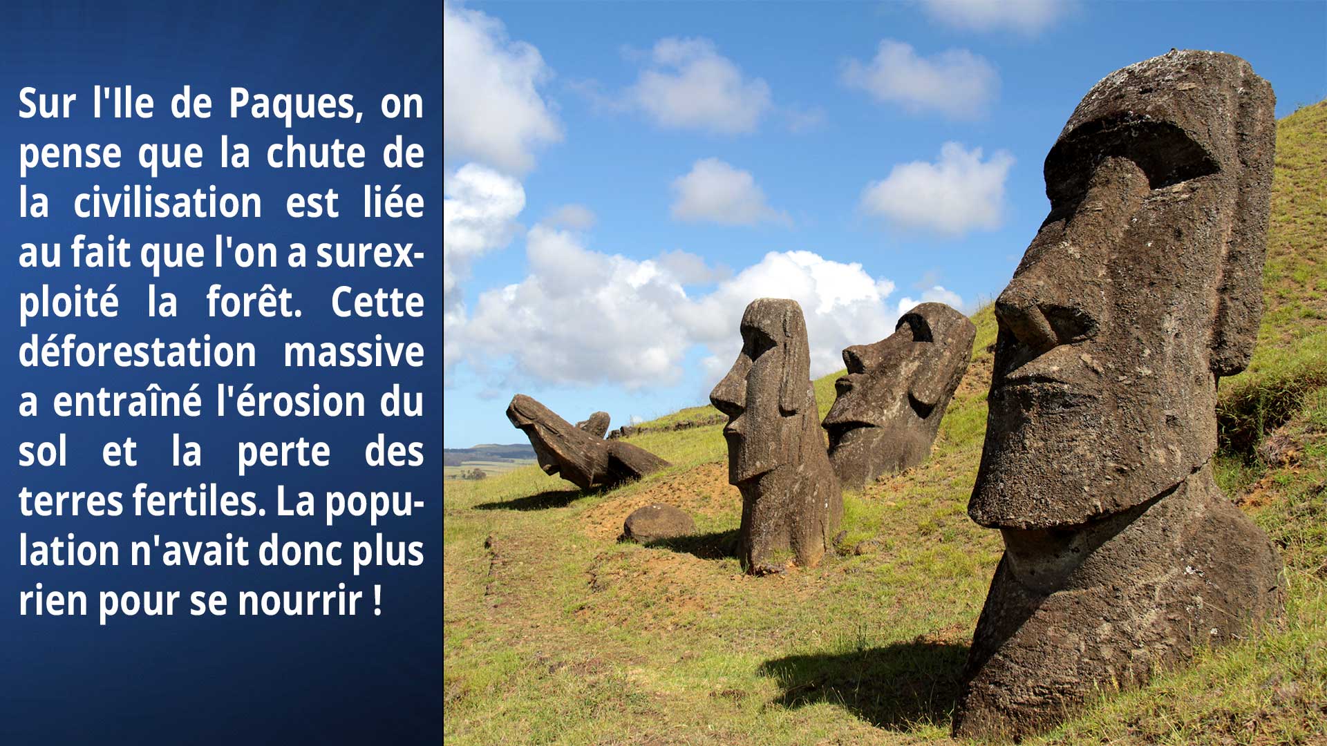 Sur l'Ile de Paques, on pense que la chute de la civilisation est liée au fait que l'on a sur exploité la forêt. Cette déforestation massive, a entrainé l'érosion du sol et la perte des terres fertiles. La population n'avait donc plus rien pour se nourrir !