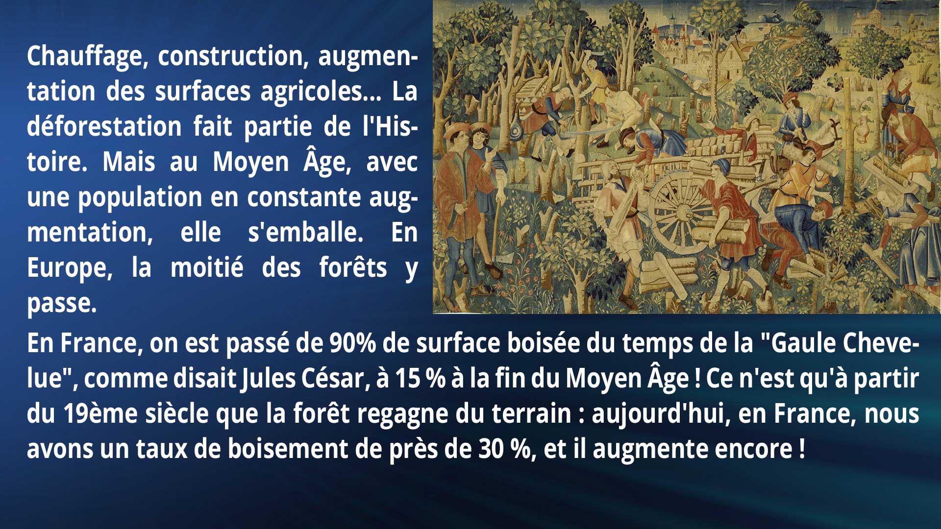 Chauffage, construction, augmentation des surfaces agricoles... La déforestation fait partie de l'Histoire. Mais au Moyen Âge, avec une population en constante augmentation, elle s'emballe. En Europe, la moitié des forêts y passe. En France, on est passé de 90% de surface boisée du temps de la 