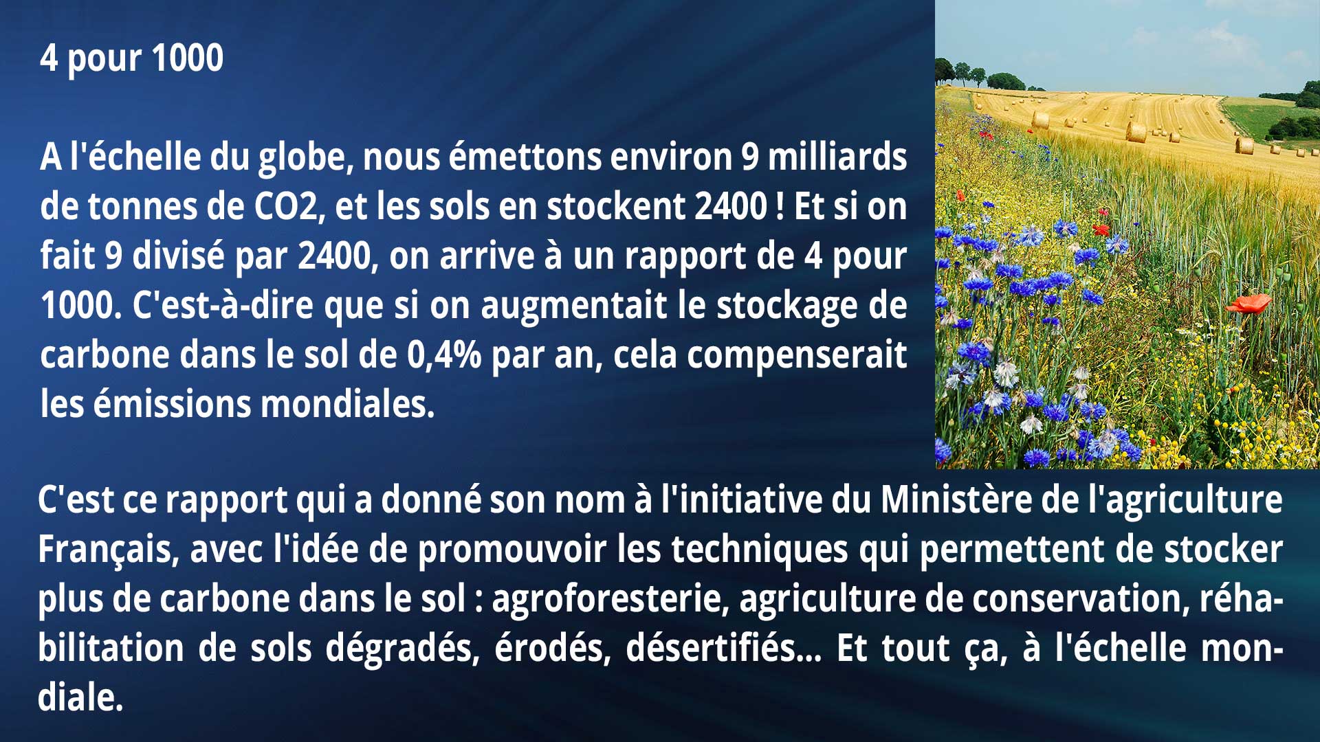 4 pour 1000
A l'échelle du globe, nous émettons environ 9 milliards de tonnes de CO2, et les sols en stockent 2400 ! Et si on fait 9 divisé par 2400, on arrive à un rapport de 4 pour 1000. C'est-à-dire que si on augmentait le stockage de carbone dans le sol de 0,4% par an, cela compenserait les émissions mondiales. C'est ce rapport qui a donné son nom à l'initiative du Ministère de l'agriculture Français, avec l'idée de promouvoir les techniques qui permettent de stocker plus de carbone dans le sol : agroforesterie, agriculture de conservation, réhabilitation de sols dégradés, érodés, désertifiés... Et tout ça, à l'échelle mondiale.