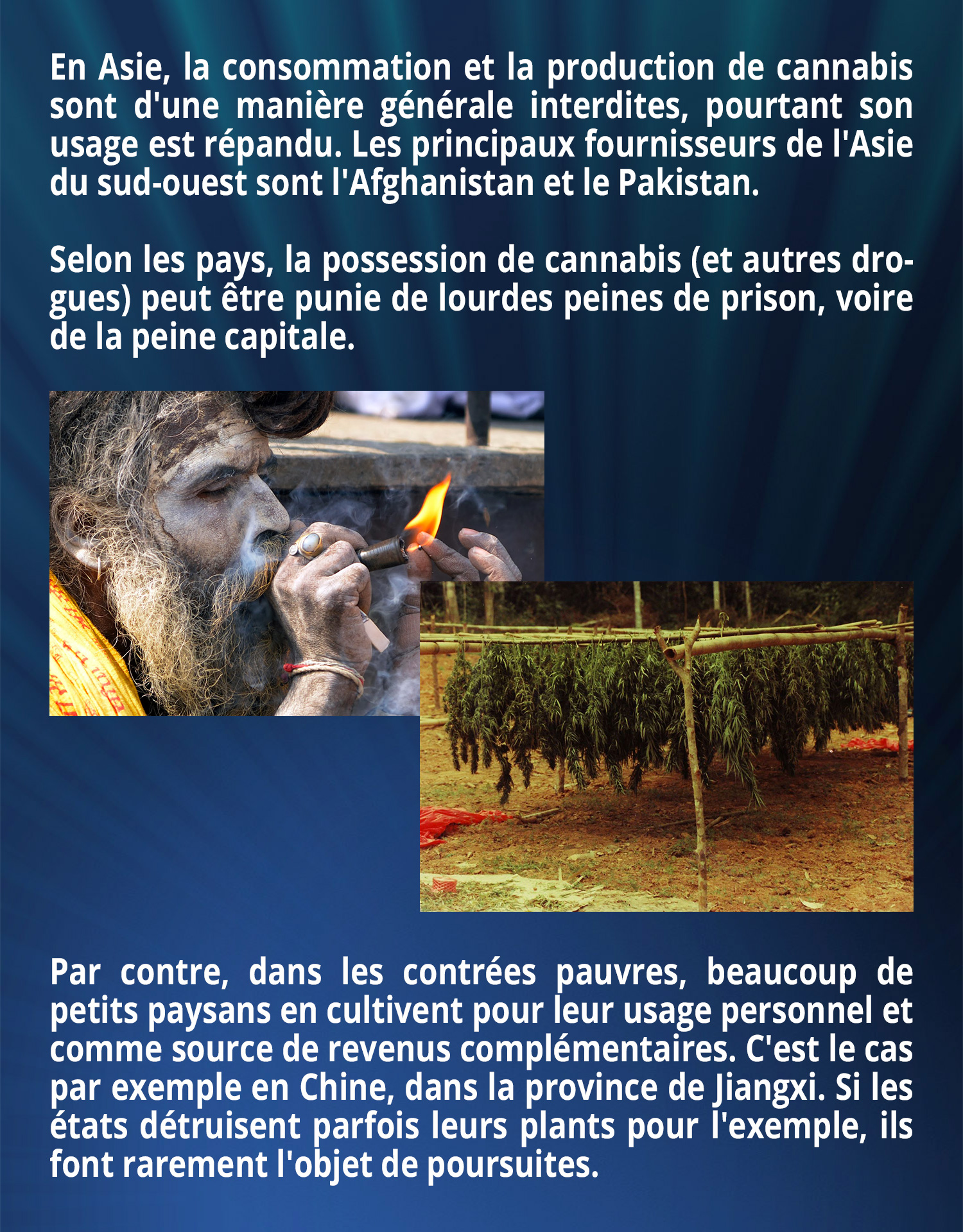 En Asie, la consommation et la production de cannabis sont d'une manière générale interdites. Pourtant son usage est répandu. Les principaux fournisseurs de l'Asie du sud-ouest sont l'Afghanistan et le Pakistan. Selon les pays, la possession de cannabis (et autres drogues) peut être punie de lourdes peines de prison, voire de la peine capitale. 
Par contre, dans les contrées pauvres, beaucoup de petits paysans en cultivent pour leur usage personnel et comme source de revenus complémentaires. C'est le cas par exemple en Chine, dans la province de Jiangxi. Si les états détruisent parfois leurs plants pour l'exemple, ils font rarement l'objet de poursuites.