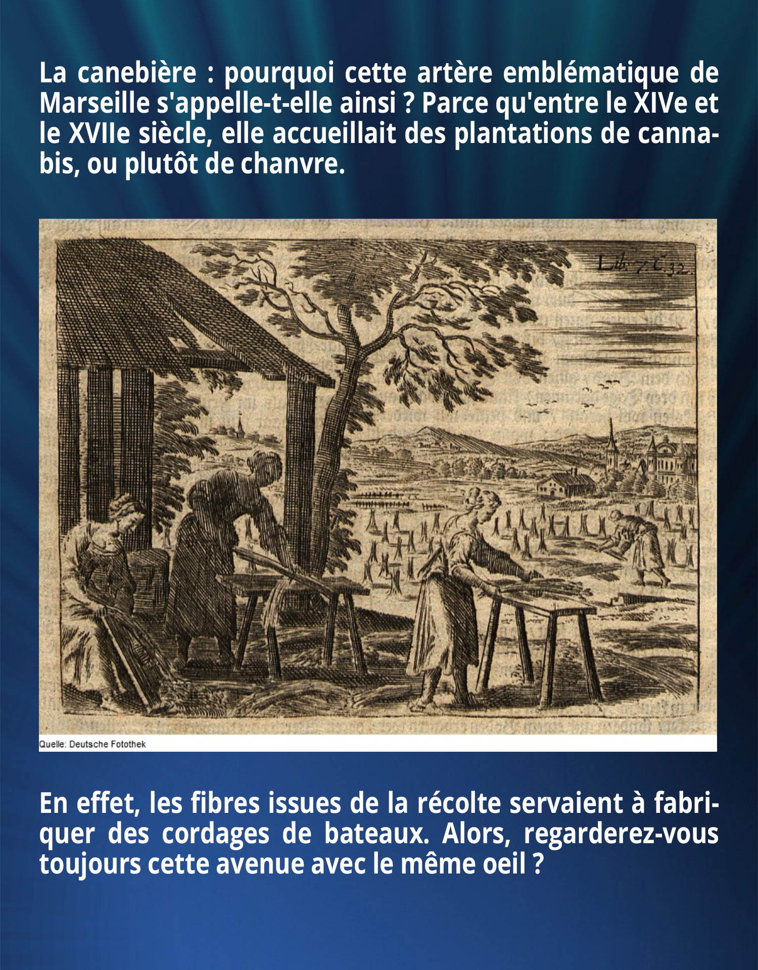 La canebière : pourquoi cette artère emblématique de Marseille s'appelle-t-elle ainsi ? 
Parce qu'entre le XIVe et le XVIIe siècle, elle accueillait des plantations de cannabis, ou plutôt de chanvre. En effet, les fibres issues de la récolte servaient à fabriquer des cordages de bateaux. 
Alors, regarderez-vous toujours cette avenue avec le même oeil ?