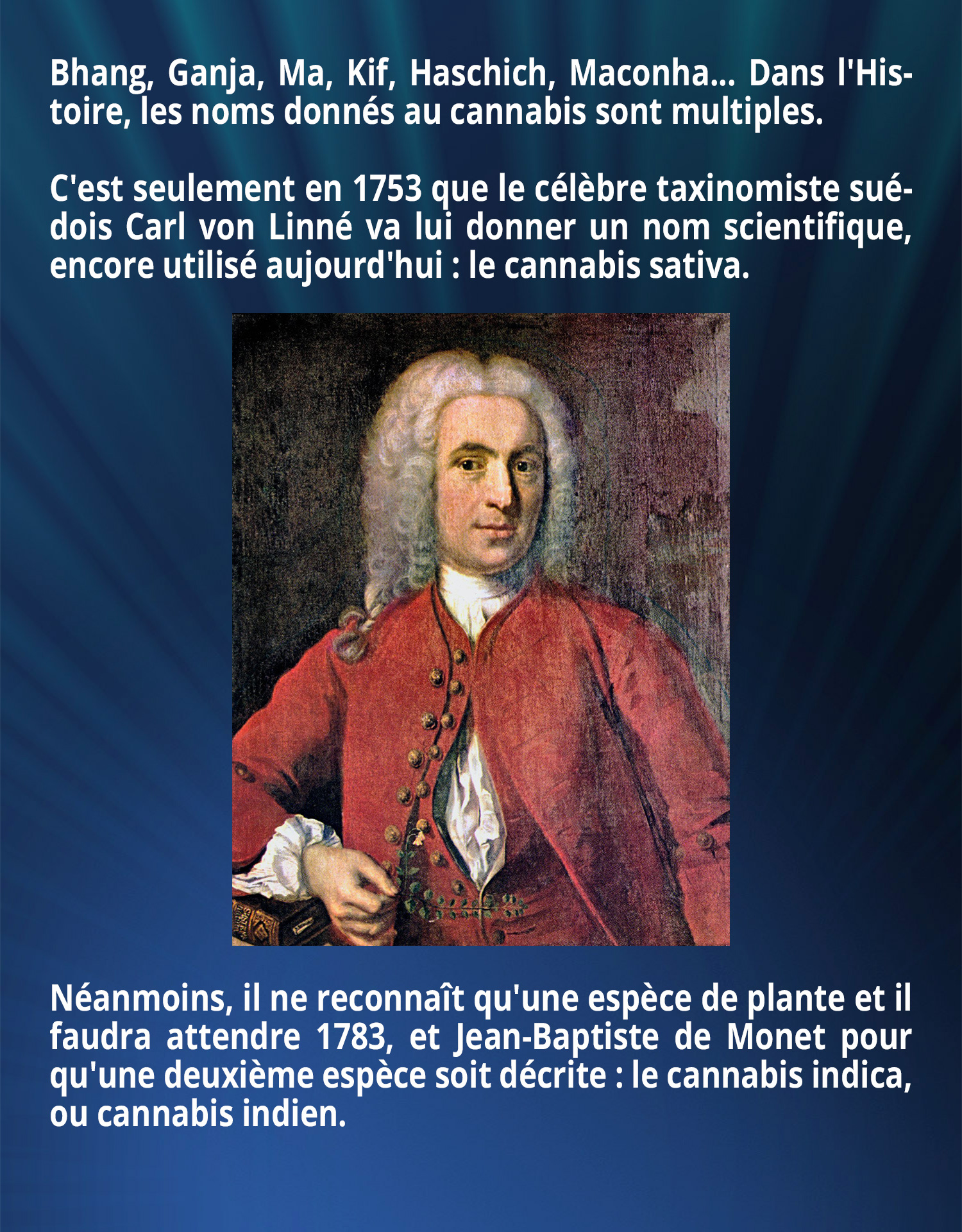 Bhang, Ganja, Ma, Kif, Haschich, Maconha... Dans l'Histoire, les noms donnés au cannabis sont multiples. C'est seulement en 1753 que le célèbre taxinomiste suédois Carl von Linné va lui donner un nom scientifique, encore utilisé aujourd'hui : le cannabis sativa. Néanmoins, il ne reconnaît qu'une espèce de plante et il faudra attendre 1783, et Jean-Baptiste de Monet pour qu'une deuxième espèce soit décrite : le cannabis indica, ou cannabis indien. 