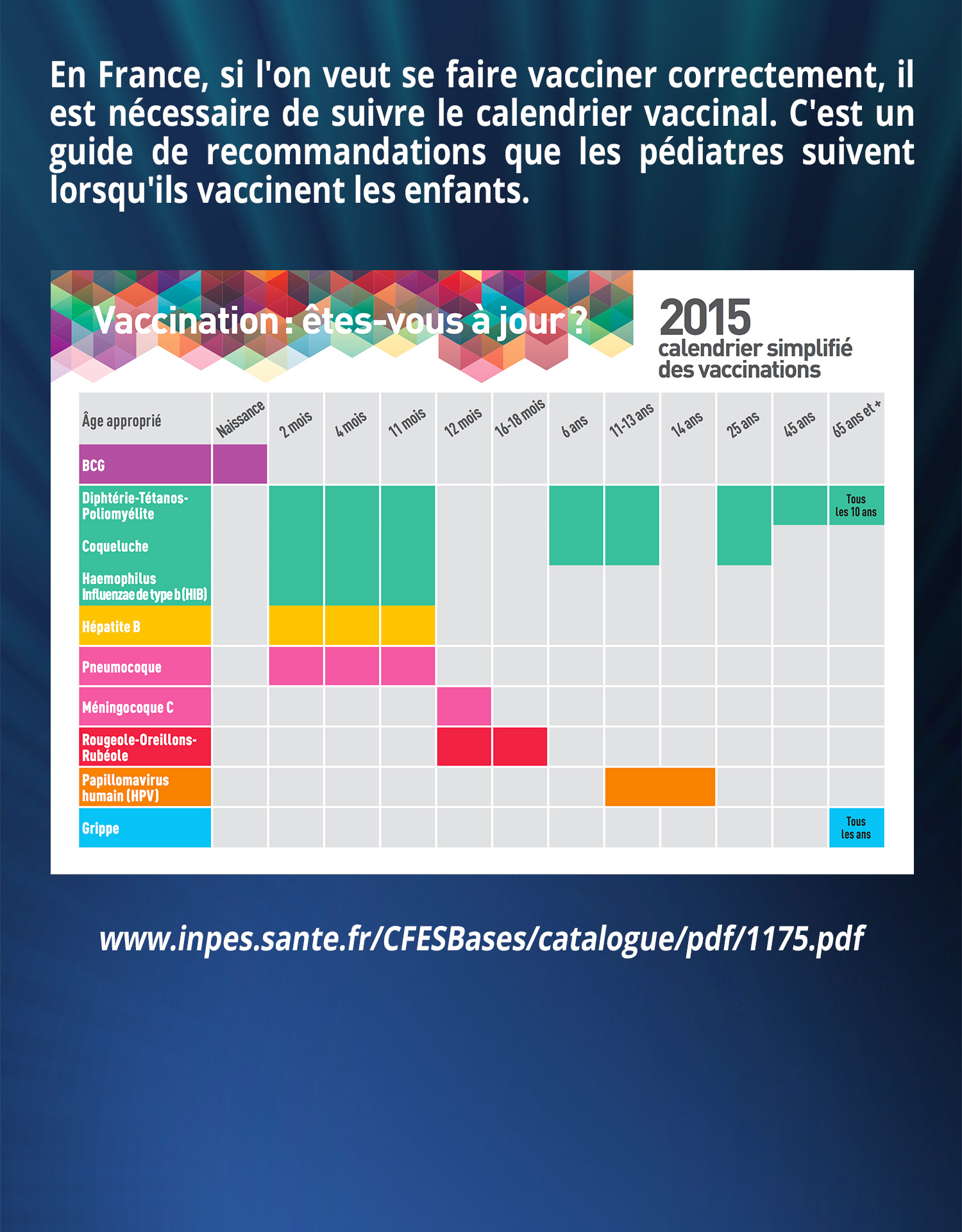 En France, si l'on veut se faire vacciner correctement, il est nécessaire de suivre le calendrier vaccinal. C'est un guide de recommandations que les pédiatres suivent lorsqu'ils vaccinent les enfants.