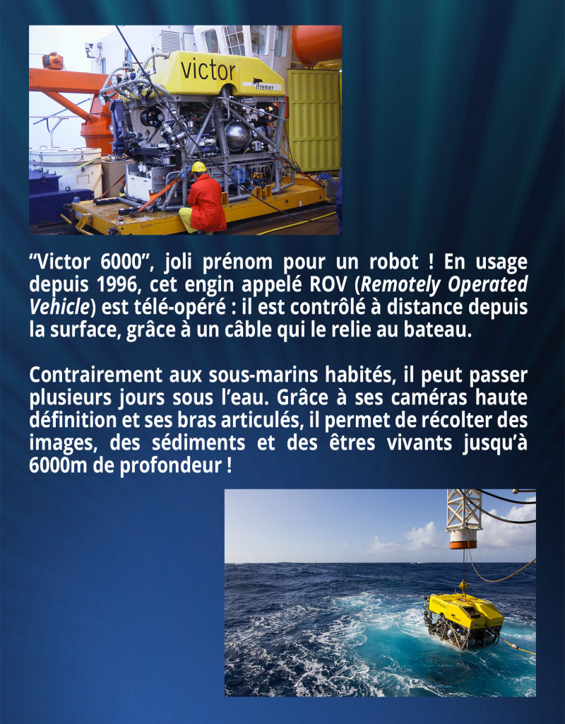 “Victor 6000”, joli prénom pour un robot ! En usage depuis 1996, cet engin appelé ROV (Remotely Operated Vehicle) est télé-opéré : il est contrôlé à distance depuis la surface, grâce à un câble qui le relie au bateau. Contrairement aux sous-marins habités, il peut passer plusieurs jours sous l’eau. Grâce à ses caméras haute définition et ses bras articulés, il permet de récolter des images, des sédiments et des êtres vivants jusqu’à 6000m de profondeur !