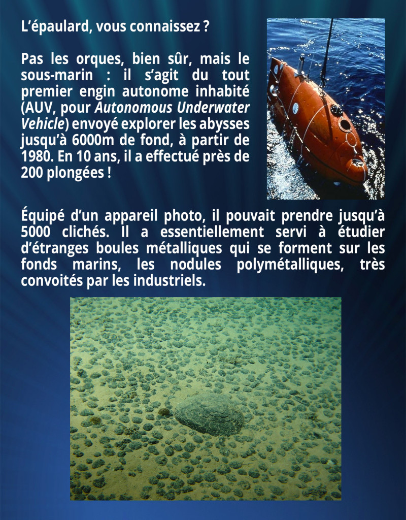 L’épaulard, vous connaissez ? Pas les orques, bien sûr, mais le sous-marin : il s’agit du tout premier engin autonome inhabité (AUV, pour Autonomous Underwater Vehicle) envoyé explorer les abysses jusqu’à 6000m de fond, à partir de 1980. En 10 ans, il a effectué près de 200 plongées ! Équipé d’un appareil photo, il pouvait prendre jusqu’à 5000 clichés. Il a essentiellement servi à étudier d’étranges boules métalliques qui se forment sur les fonds marins, les nodules polymétalliques, très convoités par les industriels.