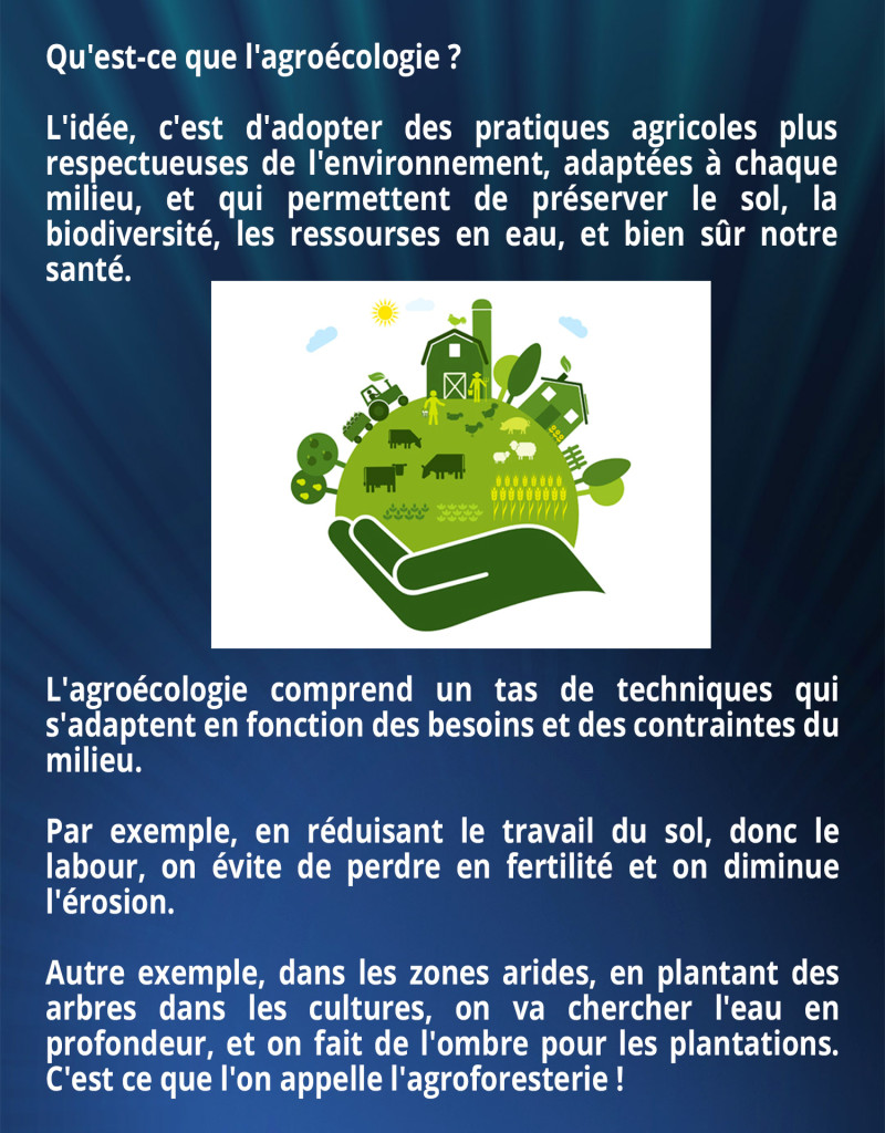 Qu'est-ce que l'agroécologie ? L'idée, c'est d'adopter des pratiques agricoles plus respectueuses de l'environnement, adaptées à chaque milieu, et qui permettent de préserver le sol, la biodiversité, les ressourses en eau, et bien sûr notre santé. L'agroécologie comprend un tas de techniques qui s'adaptent en fonction des besoins et des contraintes du milieu. Par exemple, en réduisant le travail du sol, donc le labour, on évite de perdre en fertilité et on diminue l'érosion. Autre exemple, dans les zones arides, en plantant des arbres dans les cultures, on va chercher l'eau en profondeur, et on fait de l'ombre pour les plantations. C'est ce que l'on appelle l'agroforesterie !