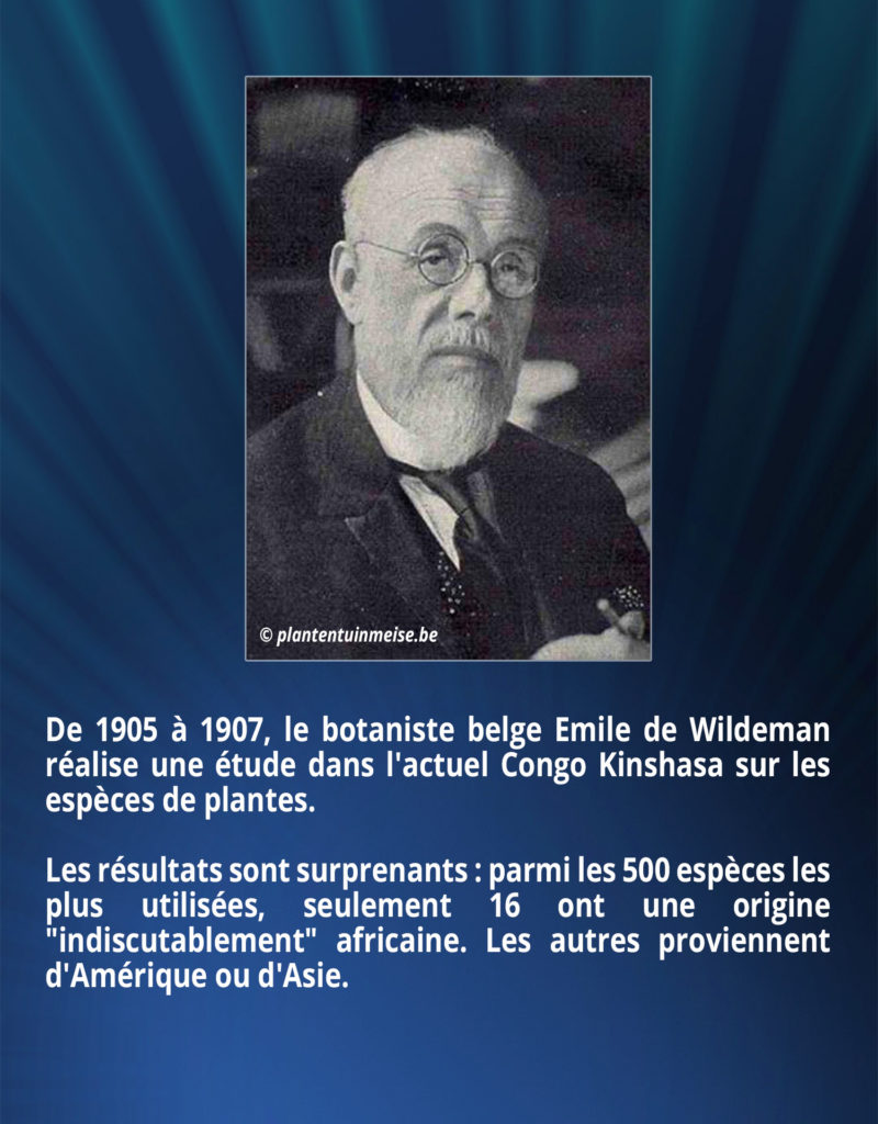 De 1905 à 1907, le botaniste belge Emile de Wildeman réalise une étude dans l'actuel Congo Kinshasa sur les espèces de plantes. Les résultats sont surprenants : parmi les 500 espèces les plus utilisées, seulement 16 ont une origine 