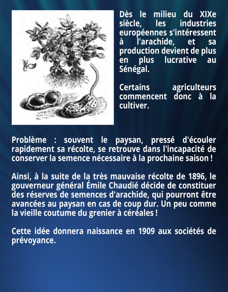 Dès le milieu du XIXe siècle, les industries européennes s'intéressent à l'arachide, et sa production devient de plus en plus lucrative au Sénégal. Certains agriculteurs commencent donc à la cultiver. Problème : souvent le paysan, pressé d'écouler rapidement sa récolte, se retrouve dans l'incapacité de conserver la semence nécessaire à la prochaine saison ! Ainsi, à la suite de la très mauvaise récolte de 1896, le gouverneur général Émile Chaudié décide de constituer des réserves de semences d'arachide, qui pourront être avancées au paysan en cas de coup dur. Un peu comme la vieille coutume du grenier à céréales ! Cette idée donnera naissance en 1909 aux sociétés de prévoyance.