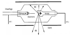 cathode