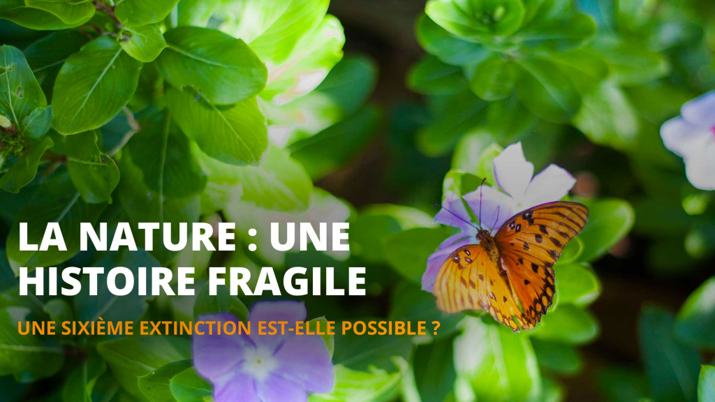 La Nature, une histoire fragile - Dossier 15 de l'Esprit Sorcier